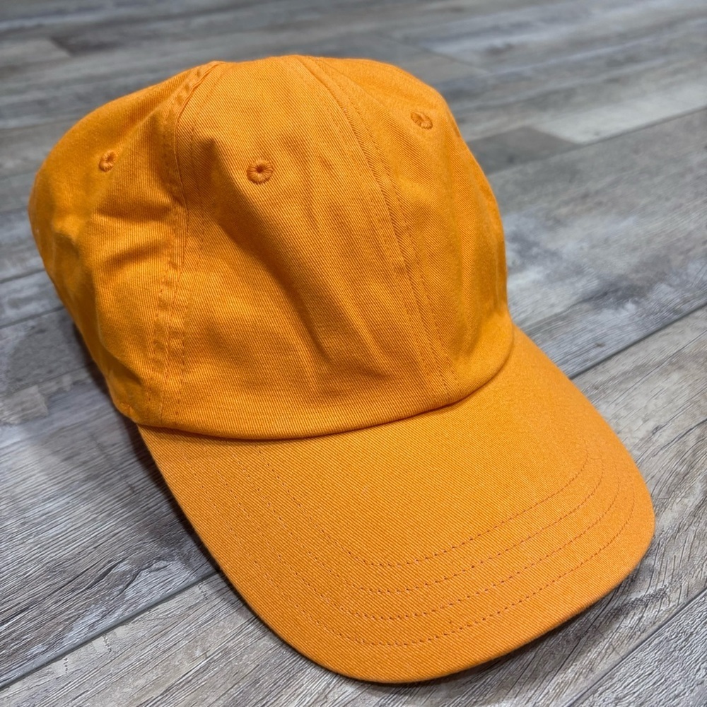 Aritzia TNA Dad Cap